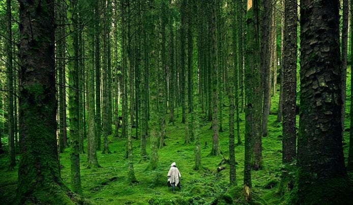 A person walking in nature to develop existential intelligence