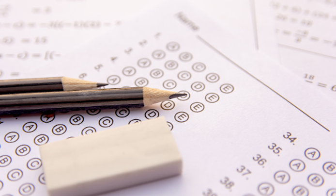 an image of a test answer sheet in the Stanford Binet test